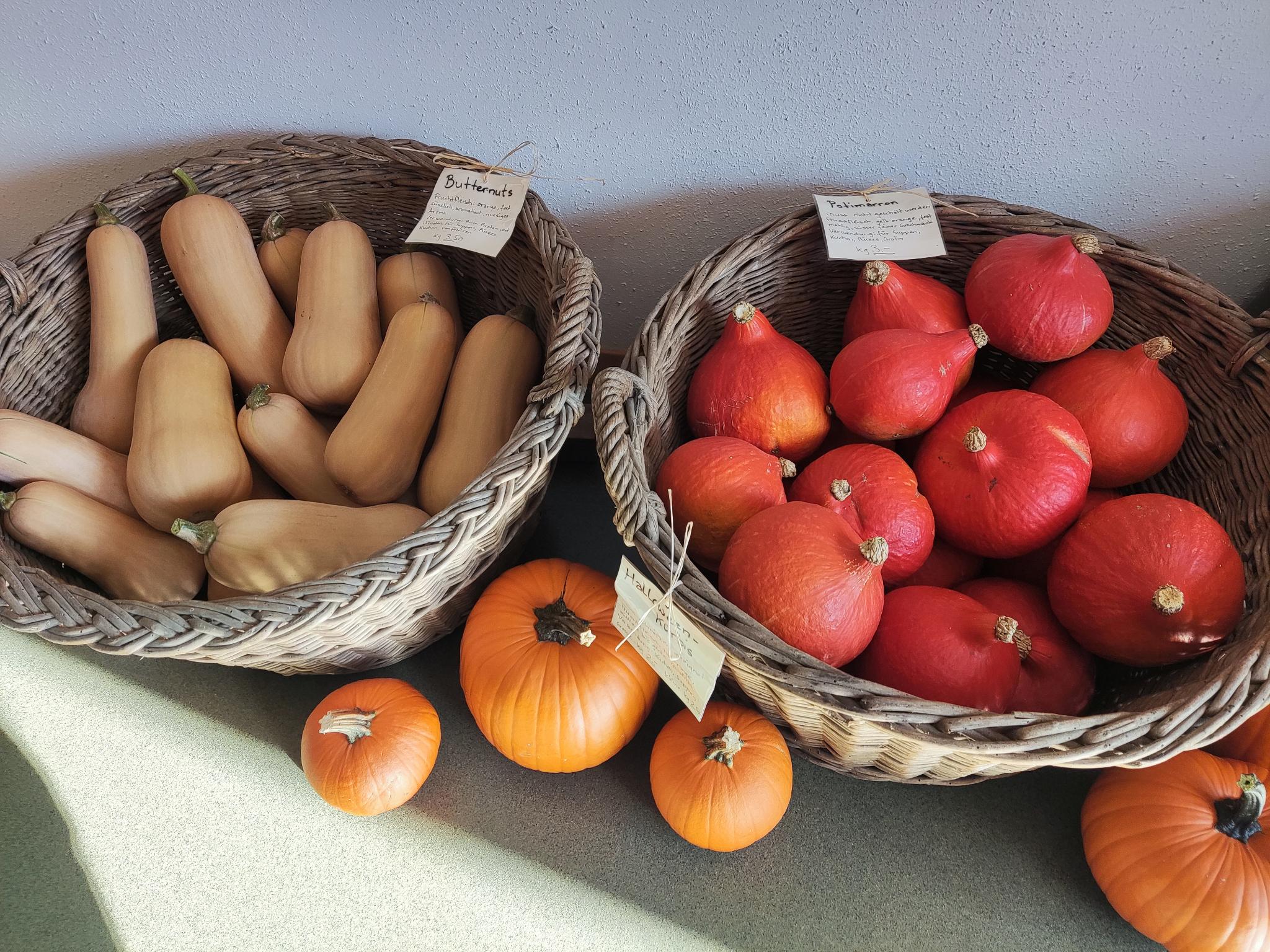 Speise- und Zierkürbisse